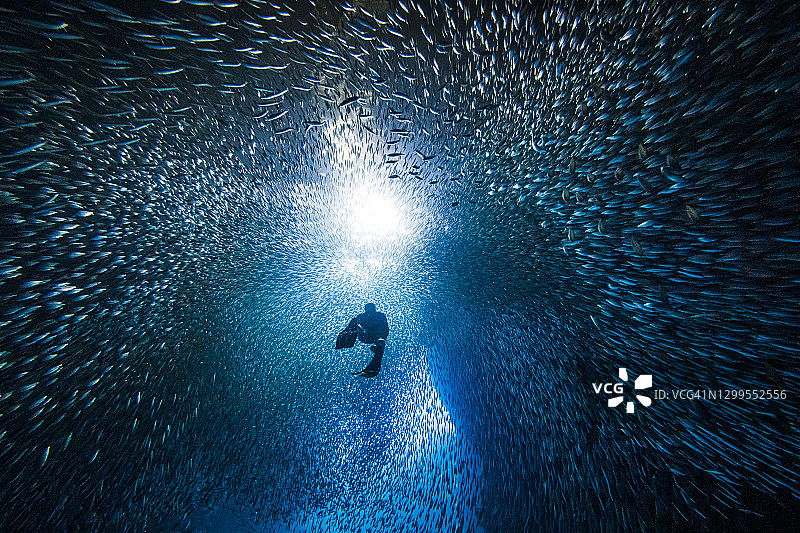 自由潜水者在水下洞穴中穿梭于鱼群，轮廓沐浴在明亮的光线下图片素材