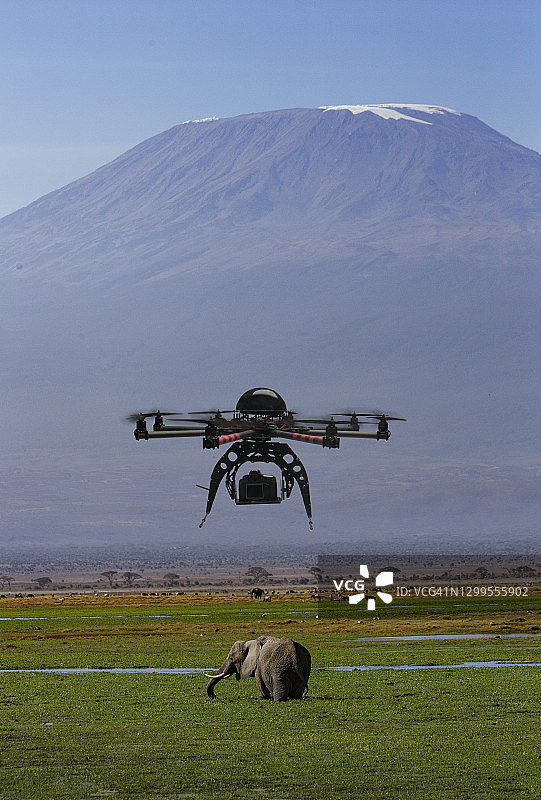 无人机飞过大象图片素材