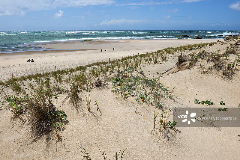 法国费雷角沙丘与大西洋图片素材