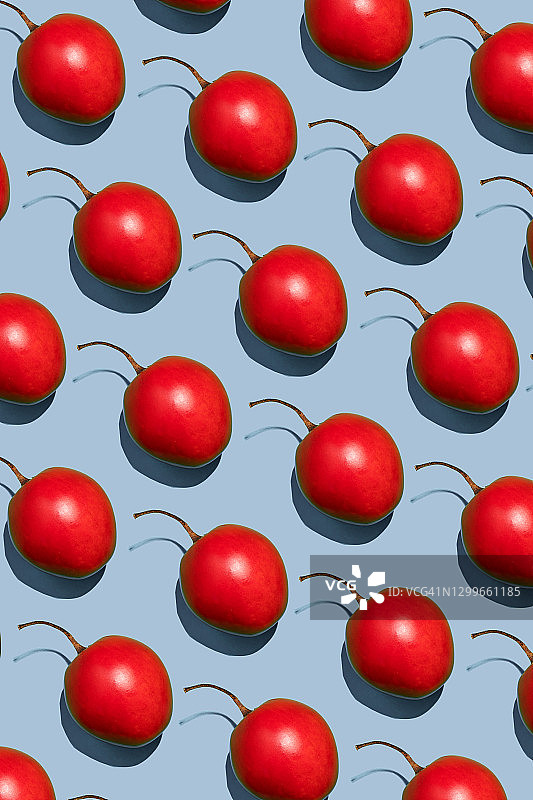 蓝色背景下的树番茄图片素材