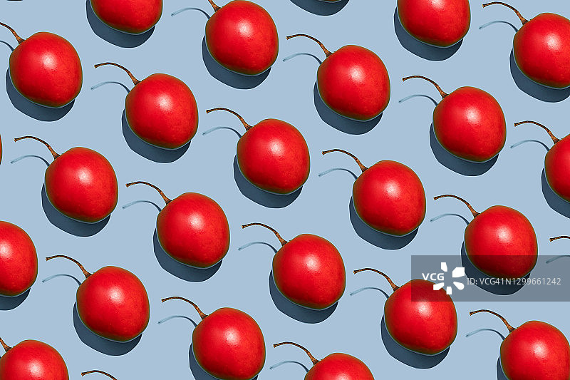 蓝色背景下的树番茄图片素材