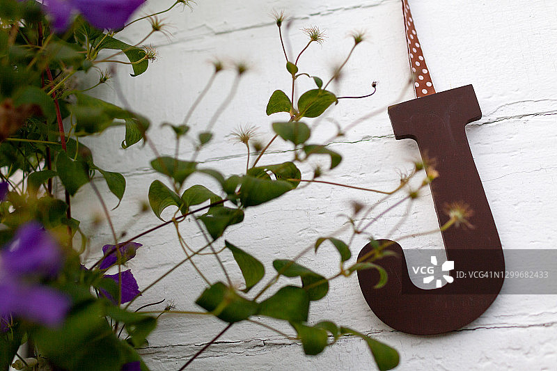 植物旁悬挂的大写字母J图片素材