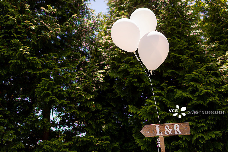 手绘婚礼招待会木牌与气球图片素材