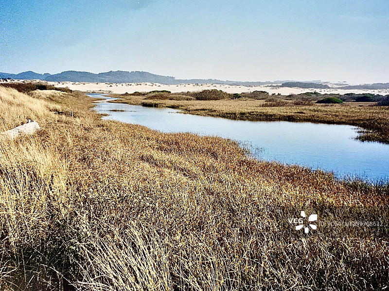 沙丘和草原-俄勒冈州图片素材