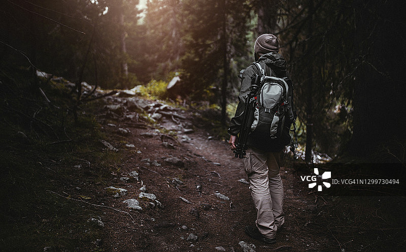 在雾中的森林徒步旅行图片素材
