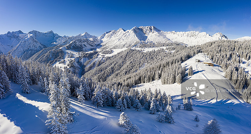 雪山树木滑雪胜地航拍图片素材