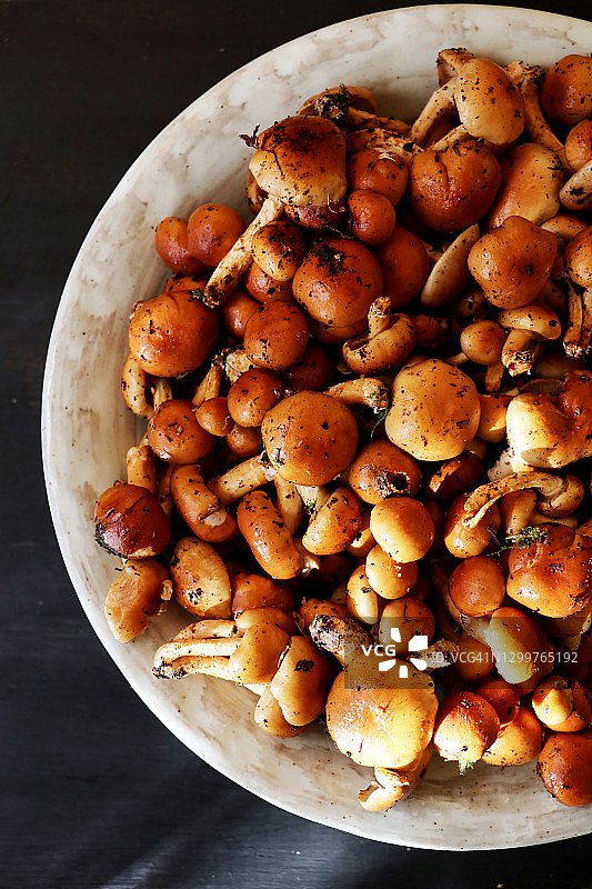 被土壤覆盖的滑子菇图片素材