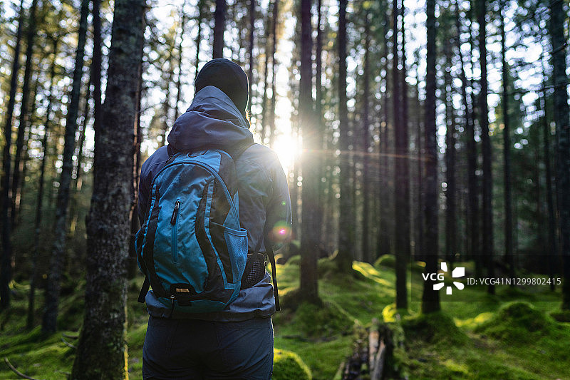 春日暖阳下在森林中徒步的女人图片素材