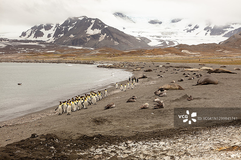 南乔治亚岛的壮丽景色图片素材