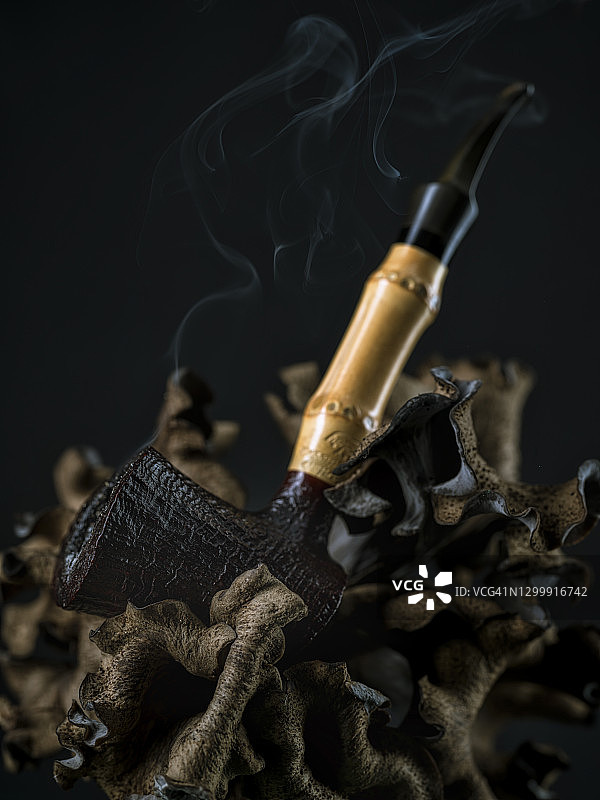 Teddy Knudsen的竹子作品，2020-10-21图片素材