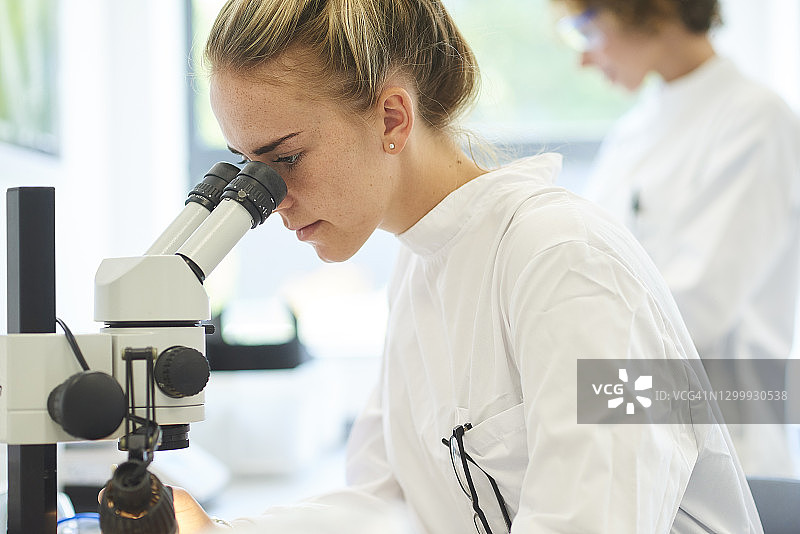 在显微镜下的实验室研究学生图片素材
