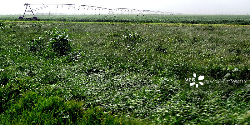 上加利利胡拉谷地的农业灌溉设备图片素材
