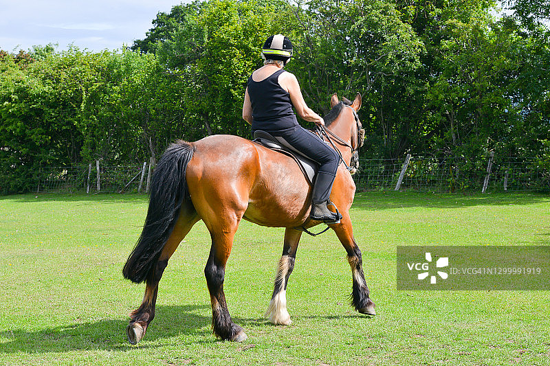 女子在英国乡村的田野里骑枣色马图片素材
