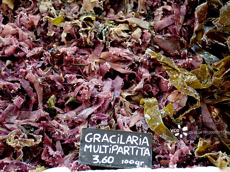 食用海藻图片素材