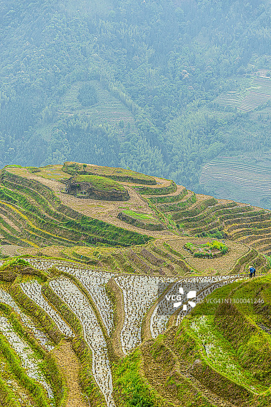 中国广西龙脊梯田图片素材