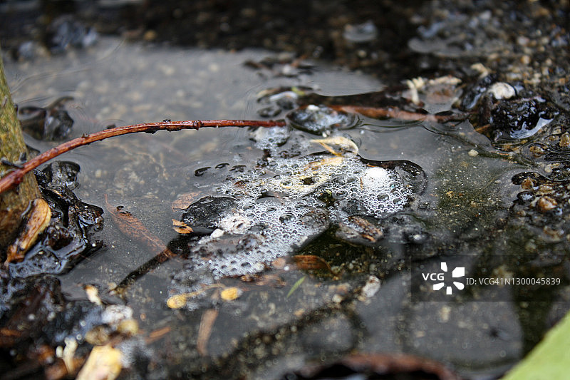 雨后花园图片素材