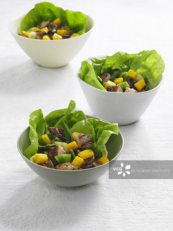 岛屿风味鸡肉芒果葱沙拉图片素材