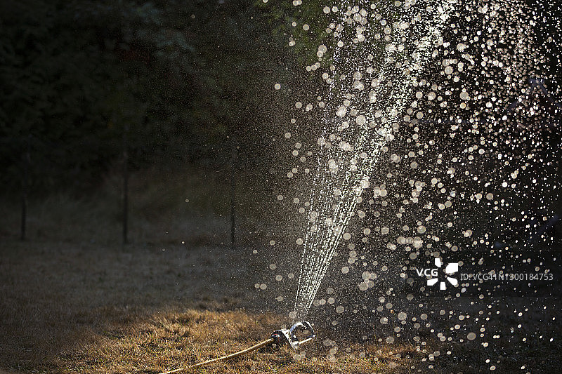 夏天，洒水器在干旱的草坪上洒水图片素材