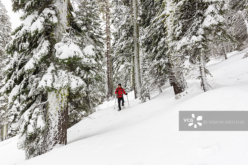 在偏远地区冬季雪鞋健行图片素材