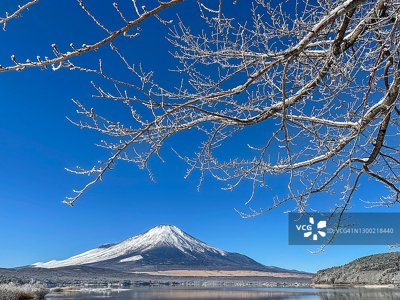 雾凇与冬季富士山图片素材