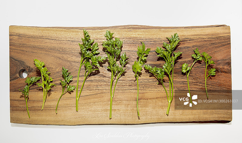 木板上的欧芹图片素材