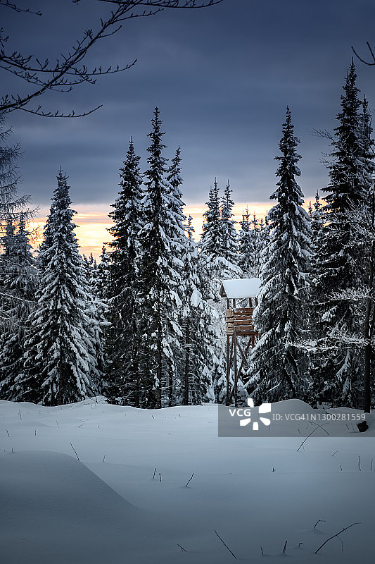 余晖下冬季森林中的猎人高位瞭望台图片素材