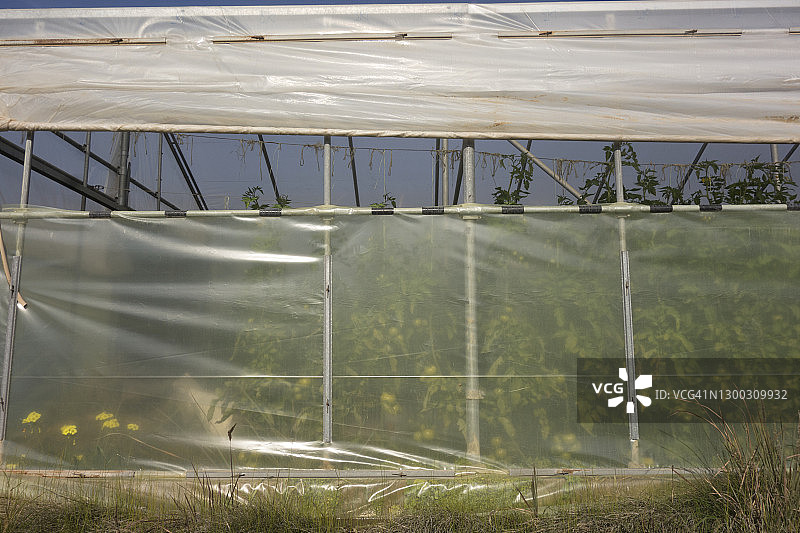 塑料温室图片素材