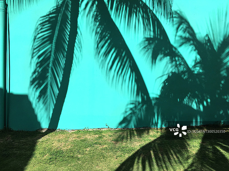 墙上的阴影图片素材