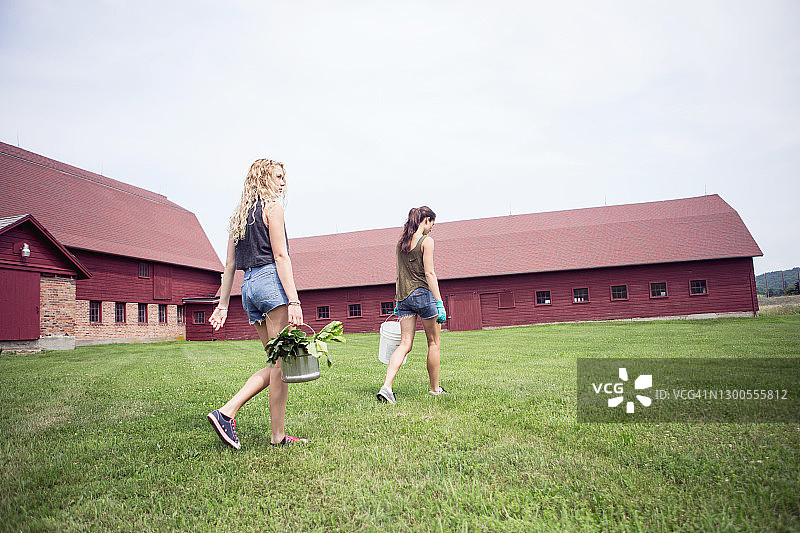 异卵双胞胎姐妹走在红色谷仓前图片素材