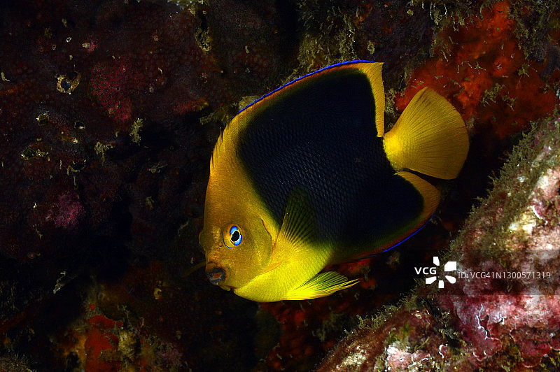 岩石之美图片素材