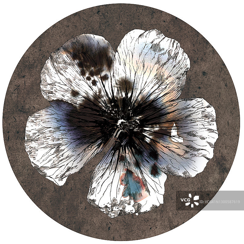 花，插画图片素材