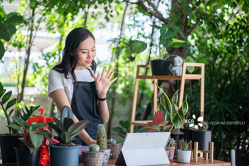 在线销售树木的Vlog业务图片素材