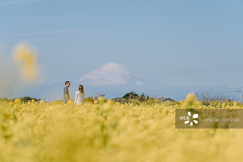 日本神奈川县富士山油菜花田情侣图片素材
