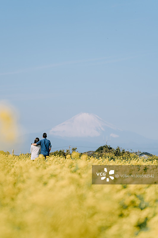 情侣在油菜花田中，背景是日本富士山图片素材
