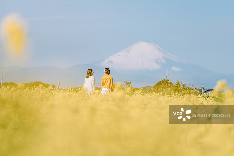 在油菜花田中与富士山合影的两个女人图片素材