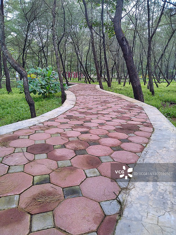 城市森林中的慢跑道图片素材