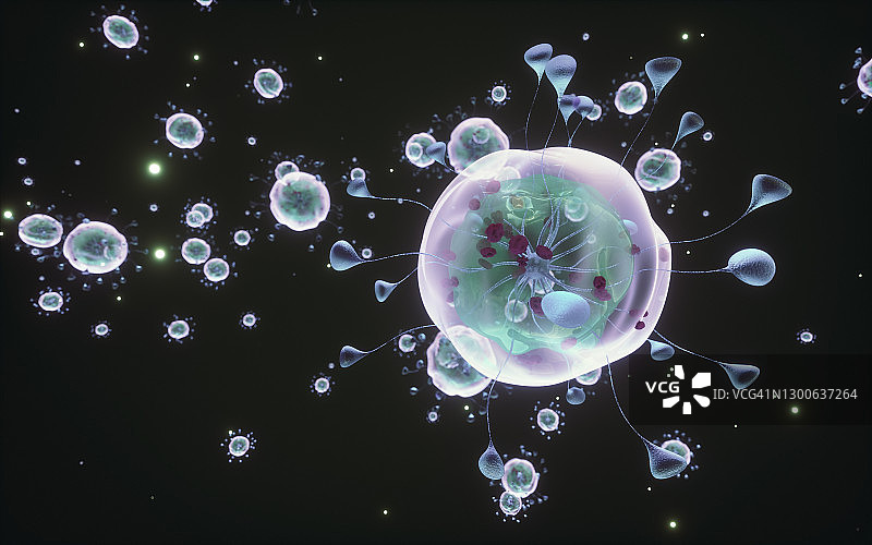 冠状病毒结构图片素材