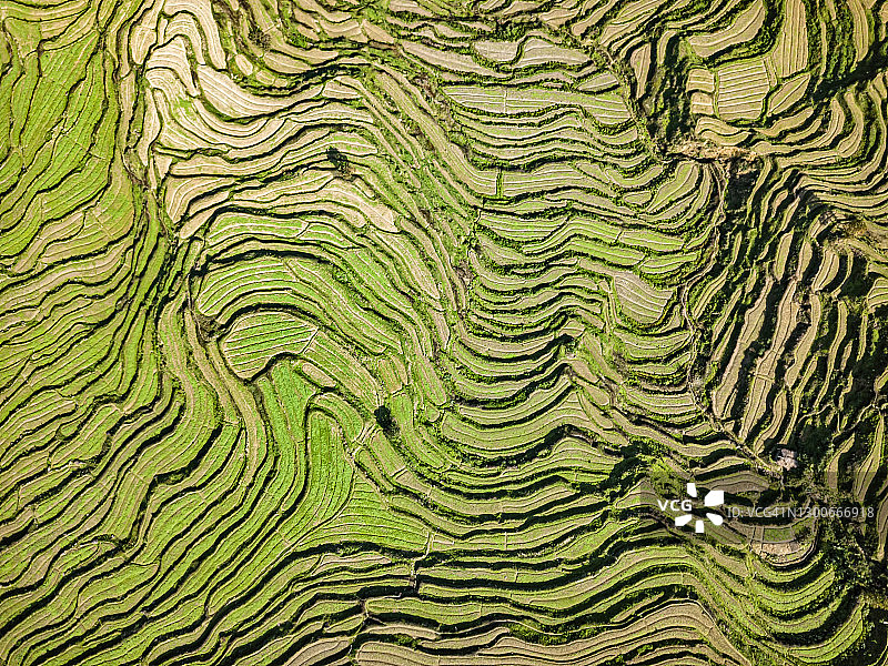 中国婺源的梯田图片素材