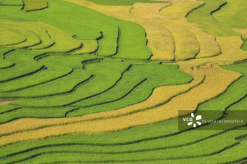 越南北部梯田稻田风光图片素材