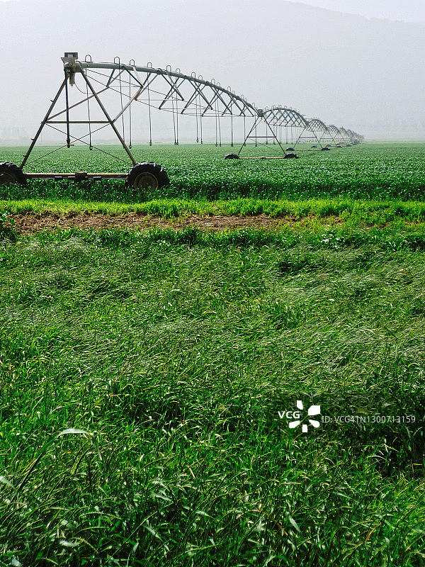 胡拉谷物田中大型农业枢轴喷灌设备（竖版）图片素材