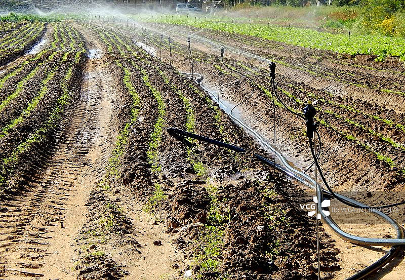 以色列中部田野的喷灌设备图片素材