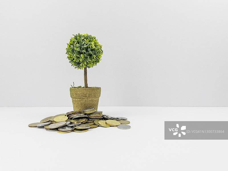 硬币与成长树：商业金融概念图片素材