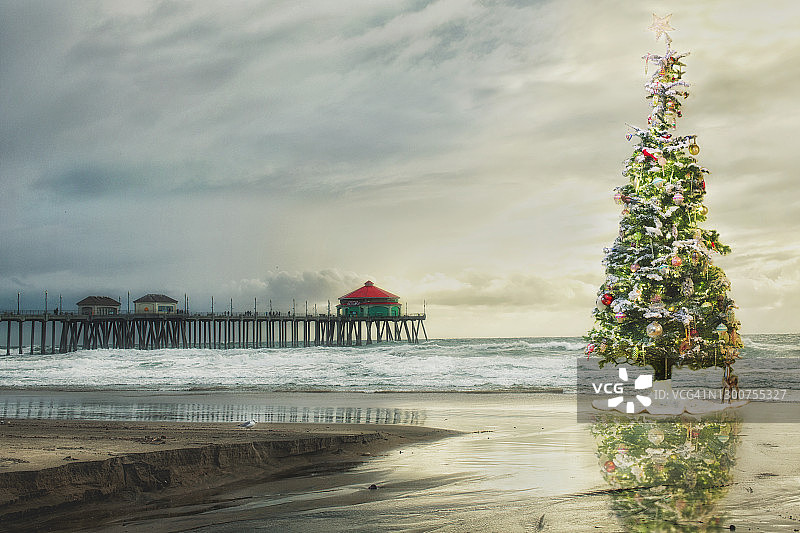 码头海滩上的圣诞树图片素材