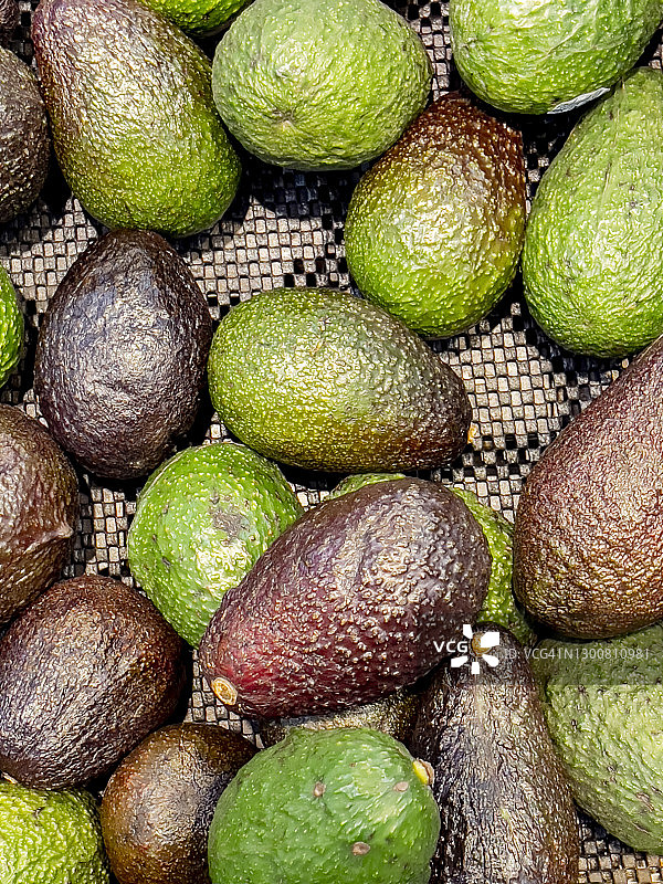成堆的鳄梨图片素材