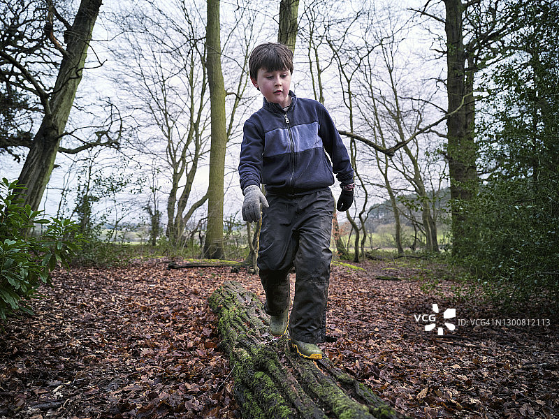 7岁男孩在伦敦北部林地的原木上玩耍图片素材