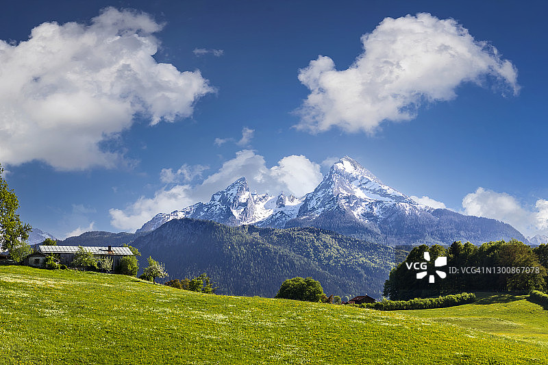 阿尔卑斯山的田园风光，绿草繁花图片素材