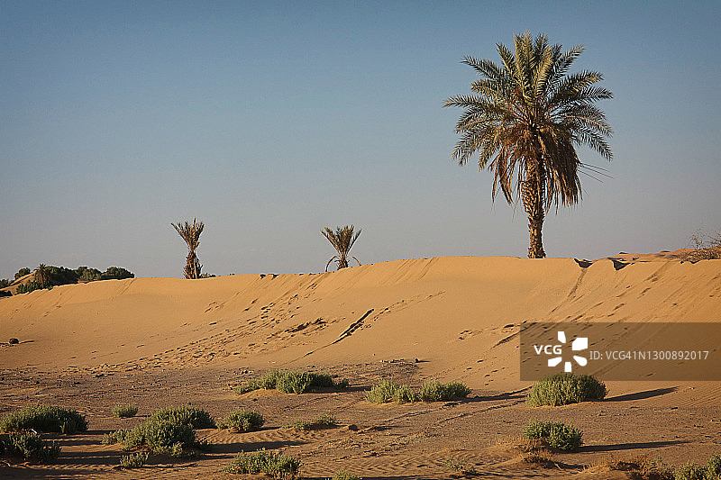 摩洛哥撒哈拉沙漠沙丘图片素材