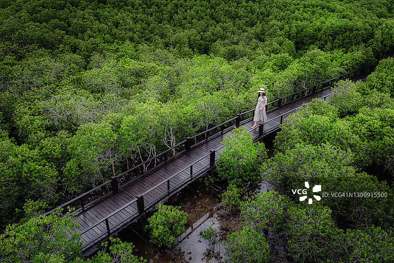 亚洲女性在红树林植物园的木桥上漫步图片素材