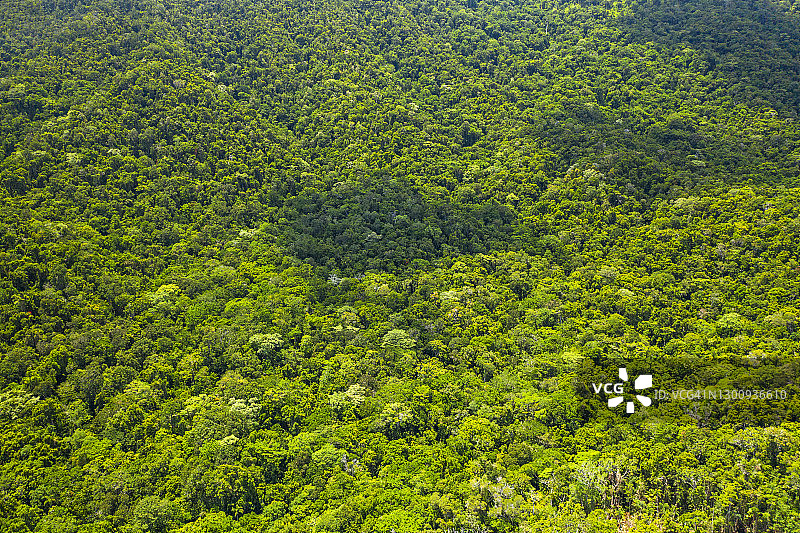 航拍海岸热带雨林特写图片素材