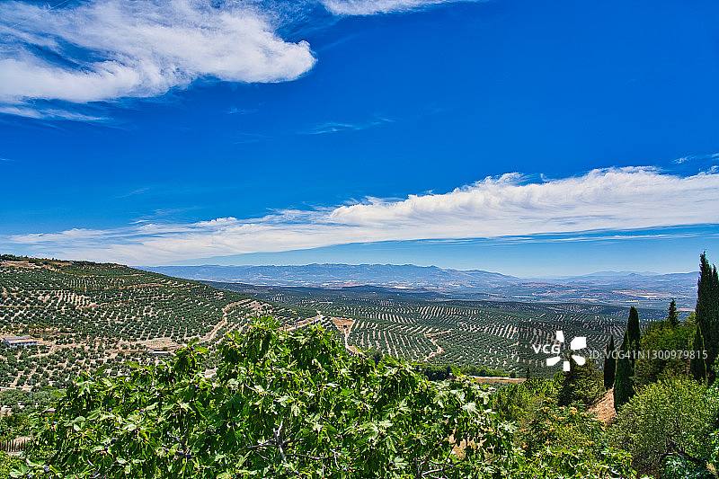 西班牙乌韦达附近的安达卢西亚乡村图片素材